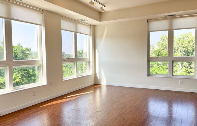 1 bed, 1 bath, 746 sqft, $1,695, Unit 306