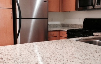 2 beds, 2 baths, 901 sqft, $3,695, Unit 204 P