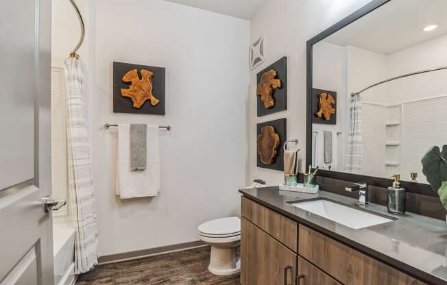 Bathroom With Adequate Storage at Canter, Ocala, FL