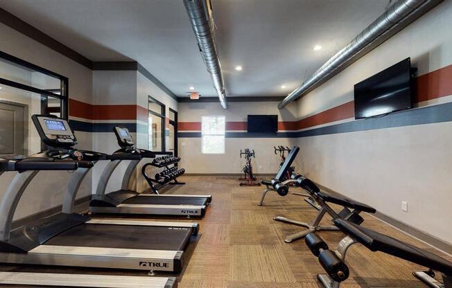 A gym with treadmills and elliptical machines.