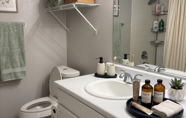 1 bed, 1 bath, 730 sqft, $775, Unit 061