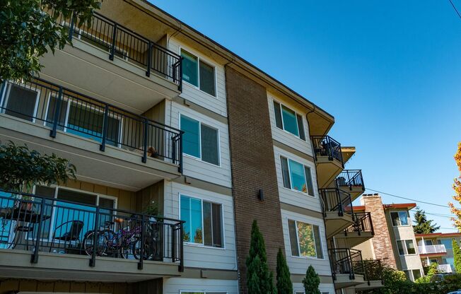 1 bed, 1 bath, 566 sqft, $1,450, Unit 303