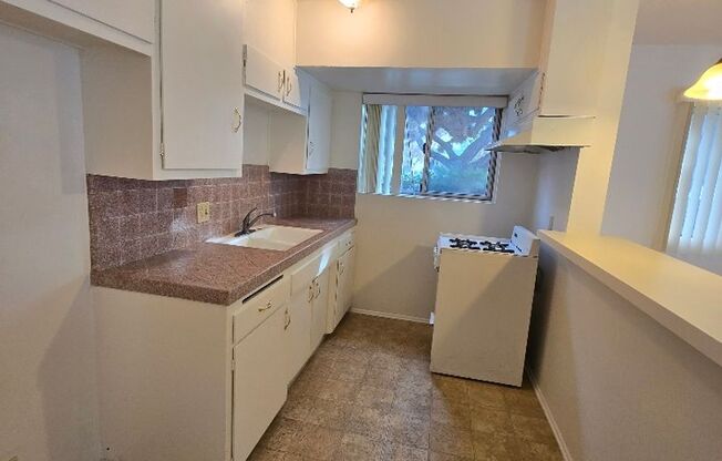 Studio, 1 bath, 470 sqft, $1,695, Unit 1