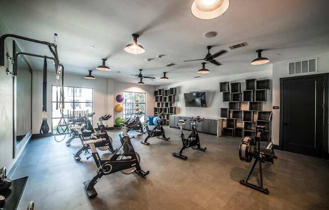 cardio theater with excercise bikes