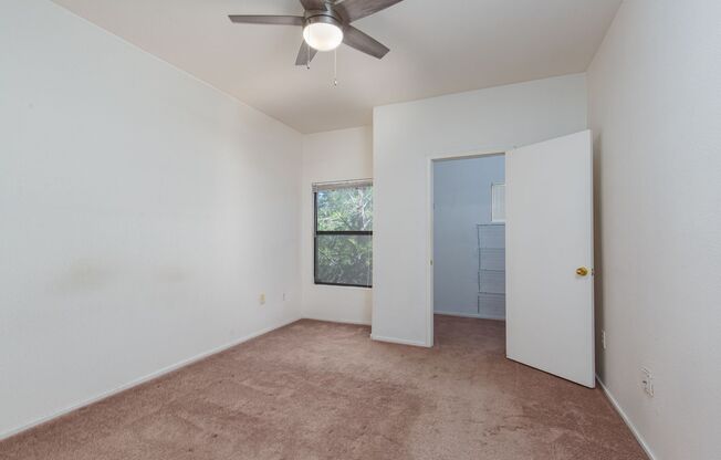 1 bed, 1 bath, $1,250