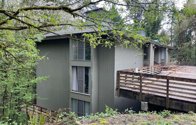 The Tree House