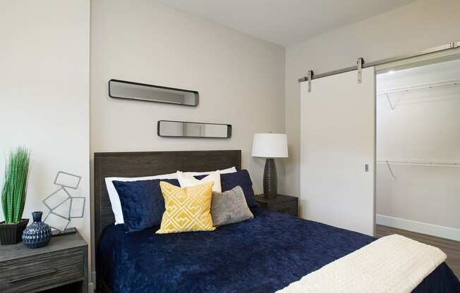 Spacious Bedroom Closets