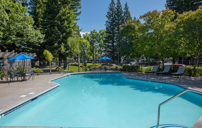 A large outdoor swimming pool surrounded by trees and lounge chairs at Zinfandel Village Apartments, California, 95670