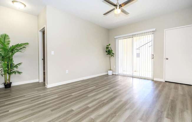 A room with a ceiling fan and a plant.