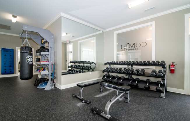 the weights room at the preserve at great pond apartments in windsor ct