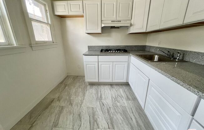 Studio, 1 bath, 450 sqft, $1,450, Unit 206