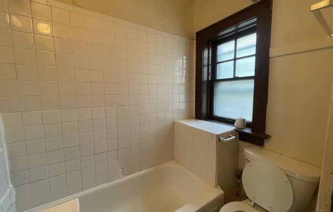 Studio, 1 bath, $725, Unit 102