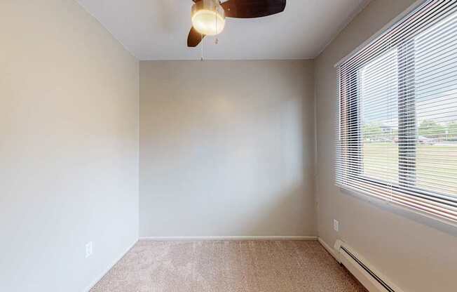 Studio - Cedar