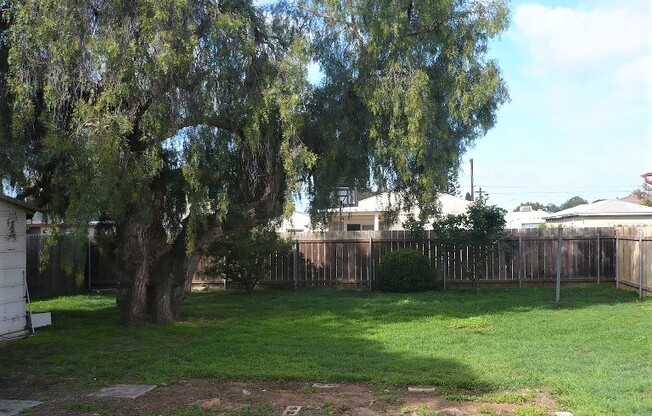 Single story house with large yard