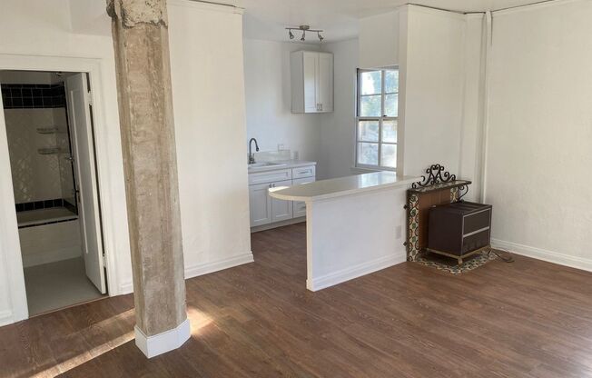Studio, 1 bath, 420 sqft, $1,635, Unit 209