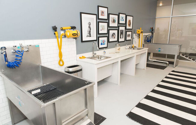 Pet Wash Station at The Whit Apartments, Indiana, 46204