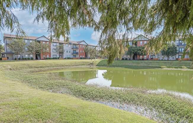 A pond in front of apartment buildings.