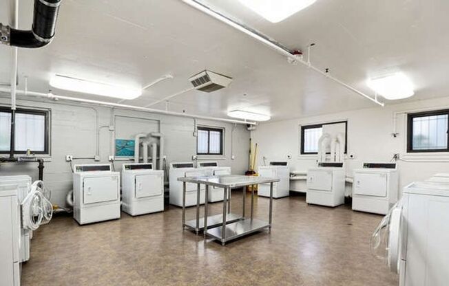 1 bed, 1 bath, $1,600