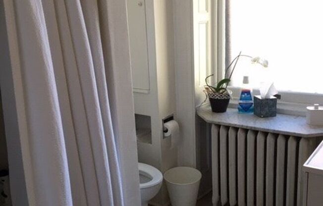 Studio, 1 bath, 500 sqft, $1,149, Unit 107E-1F