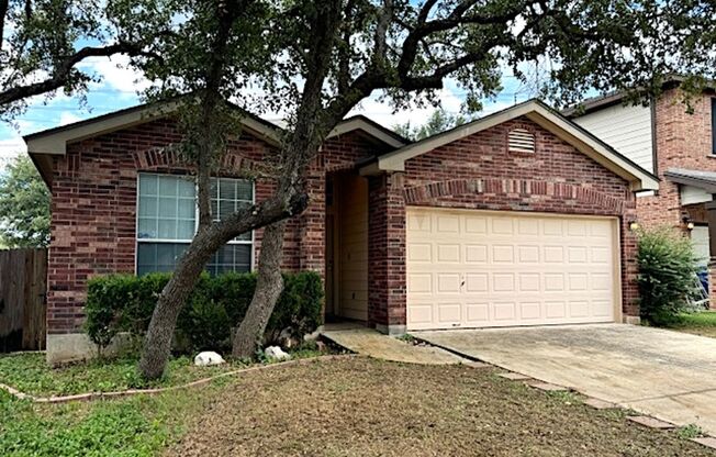 Ready for Move In - A Nice and Modern 1 Story 3/2 in Sonoma Ranch, Off Hausman Rd and near 1604