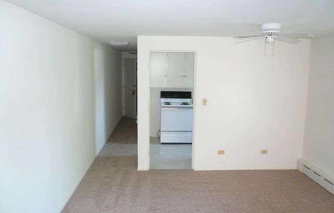 1 bed, 1 bath, 535 sqft, $800, Unit 312-C-302