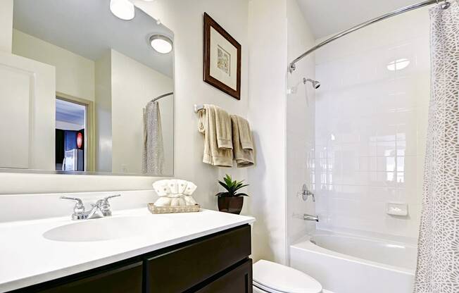 A bathroom with a white sink, toilet, and shower.