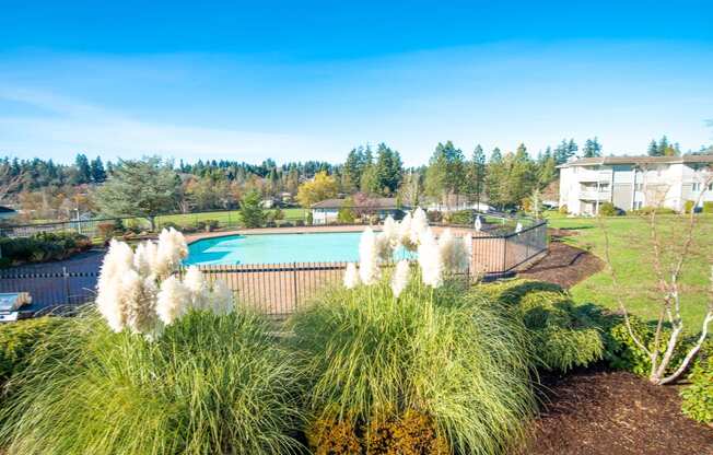 Andorra Pool Andorra Apartment Homes in Mountlake Terrace, WA