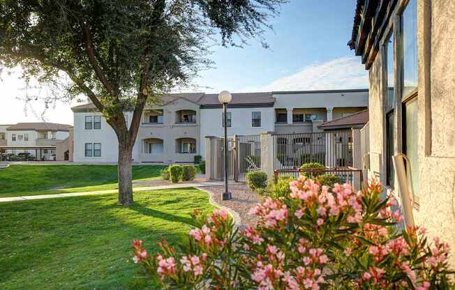 A tree with pink flowers in the foreground and apartment buildings in the background.