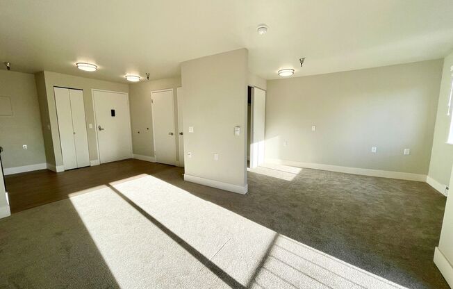 Studio, 1 bath, 480 sqft, $1,495, Unit 317