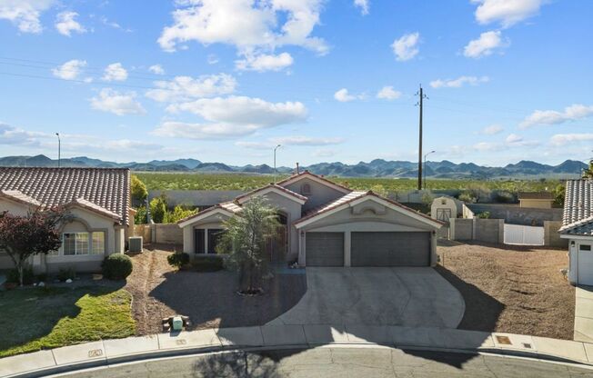 Spacious Single Story, 4 Bedroom "Henderson" Home,3 CAR GARAGE, HUGE BACKYARD, SPA, and RV PARKING