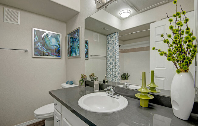 Bathroom with Luxurious Garden Tub | Apartments For Rent In Scottsdale AZ | The Catherine Townhomes
