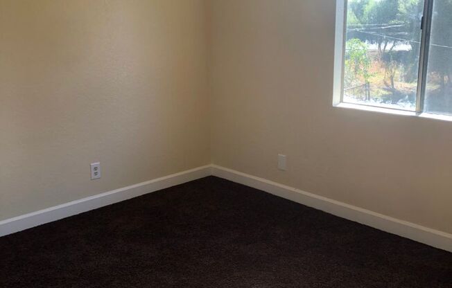 1 bed, 1 bath, $1,350, Unit Apt 23