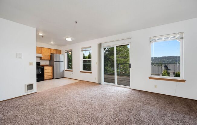Viking Vista
