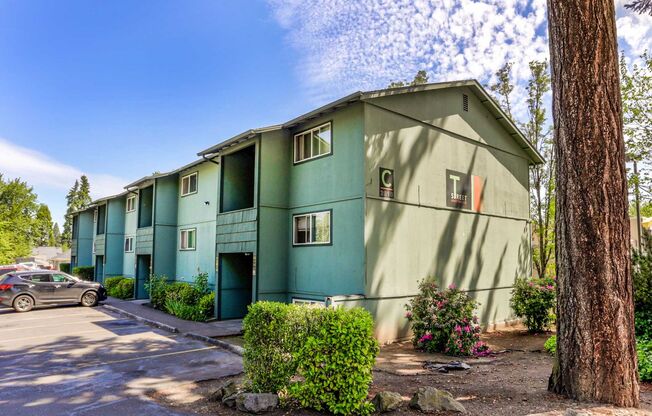 1 bed, 1 bath, 494 sqft, $1,250, Unit 31