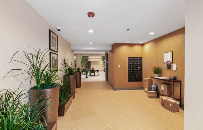 1Bd/1Ba Seattle Condo