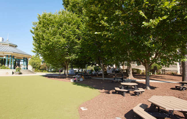 Picnic by the gazebo