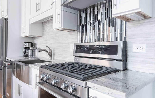 Luxury Living at Wells Place - South Loop Apartments