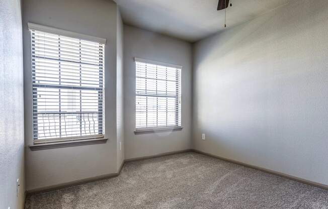 a bedroom with two windows and a carpeted floor