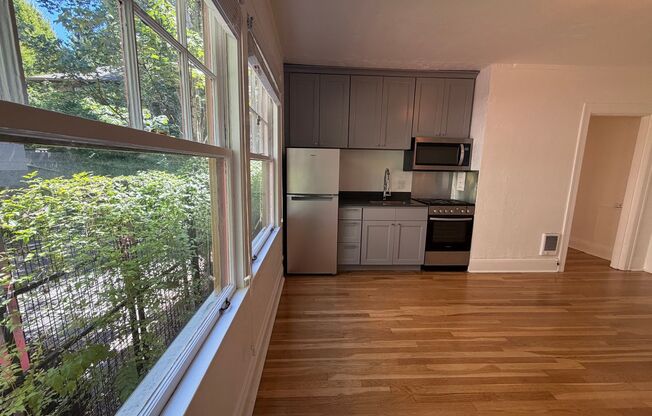 Studio, 1 bath, 320 sqft, $1,149, Unit 05