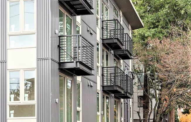 Studio, 1 bath, 255 sqft, $1,495, Unit 304