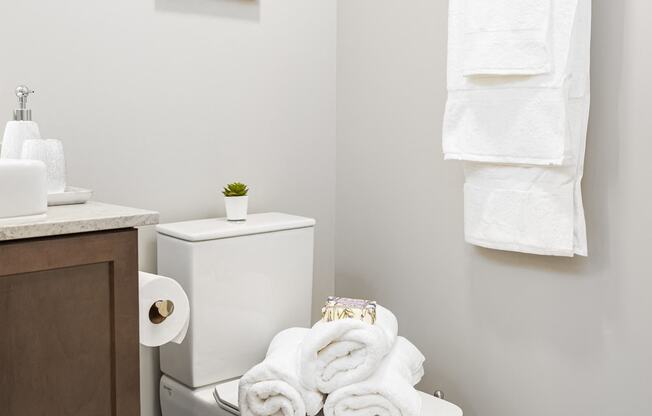 Updated Bathrooms at Park Heights by the Lake Apartments, Illinois