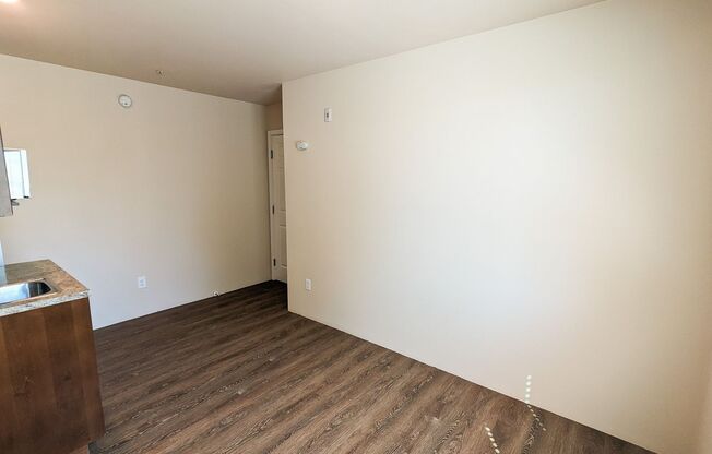 Studio, 1 bath, 160 sqft, $1,295, Unit 558