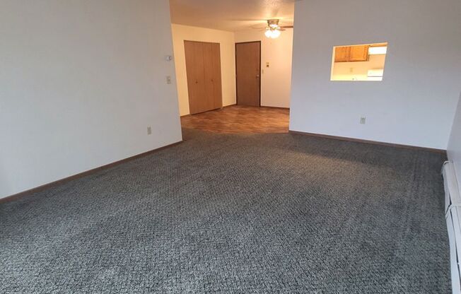 3 beds, 1 bath, 1,000 sqft, $955, Unit 302