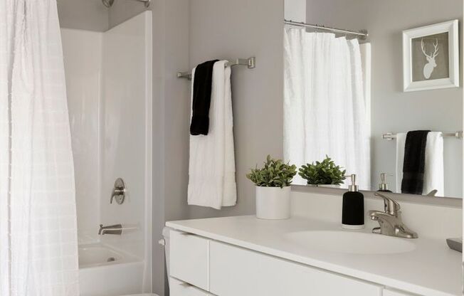 1 bed, 1 bath, 550 sqft, $1,525, Unit 311