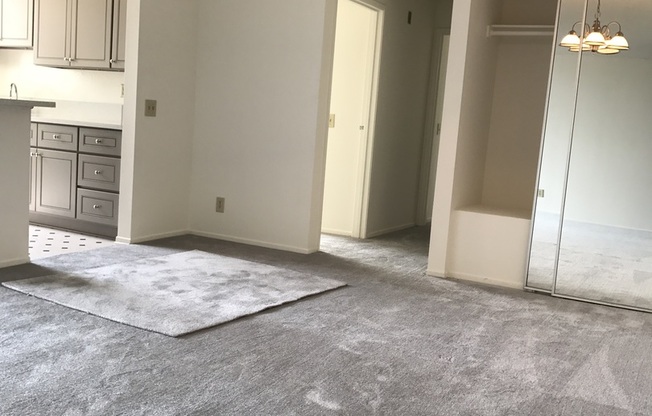 2 beds, 2 baths, 1,000 sqft, $2,875, Unit 201