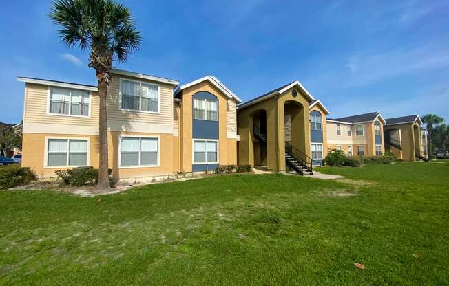 Building exterior with grass area and palm tree