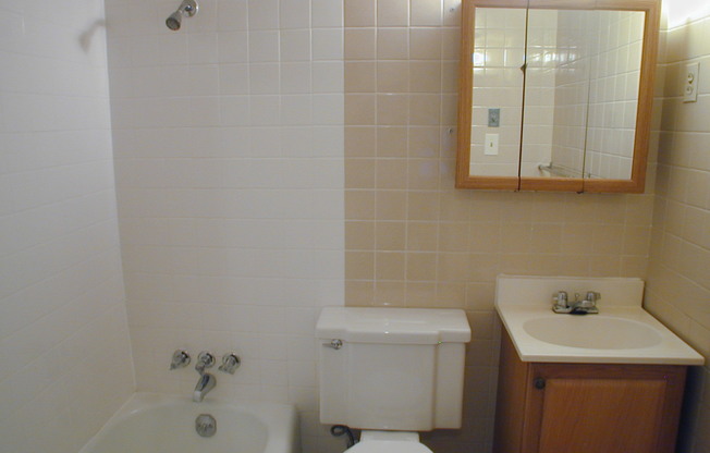 1 bed, 1 bath, 500 sqft, $850, Unit 500 Apt 1