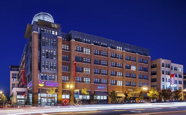 Notch8 in Alexandria