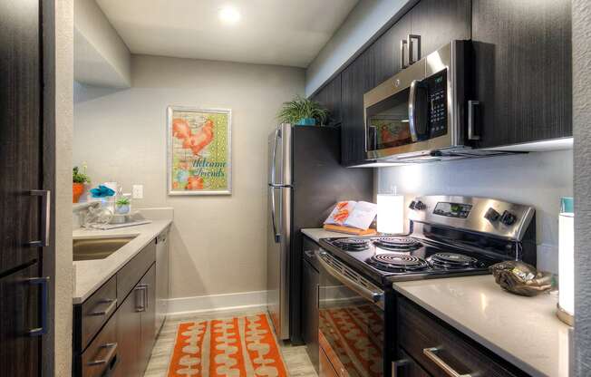 The Icon on Central Apartments in Phoenix, Arizona Model Kitchen