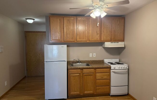 Studio, 1 bath, 350 sqft, $1,100, Unit Unit 109